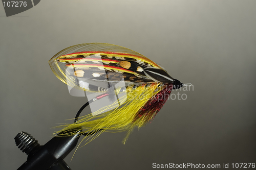 Image of Full-dress classic salmon fly