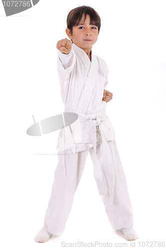 Image of Small karate boy in training