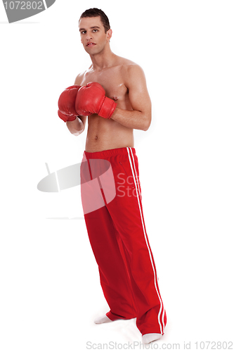 Image of Young Boxer