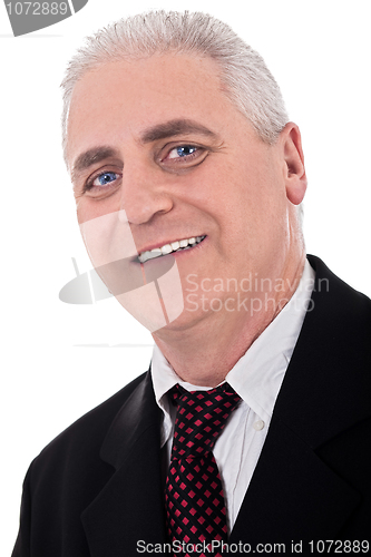 Image of Close up portrait of senior business man