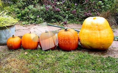 Image of Five Pumpkins