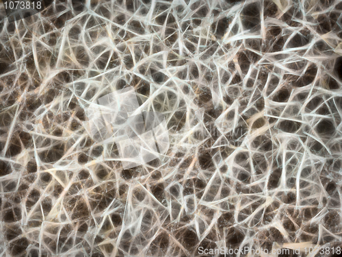 Image of Abstract background from fractal chaos