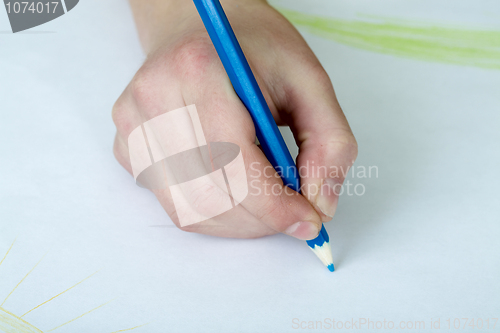 Image of Hand holding a blue pencil