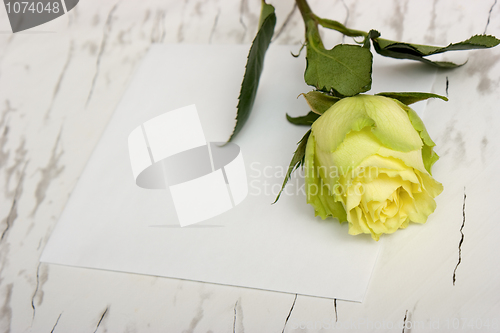 Image of Rose on a blank leaf paper