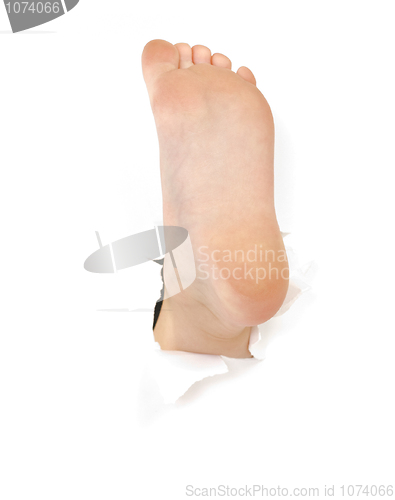 Image of Childish foot on the white background