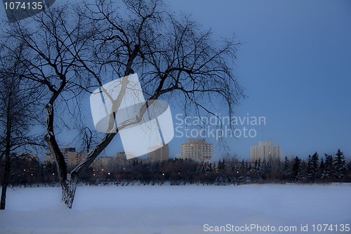 Image of Dark cold winter day