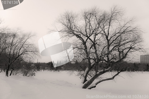 Image of Dark cold winter day