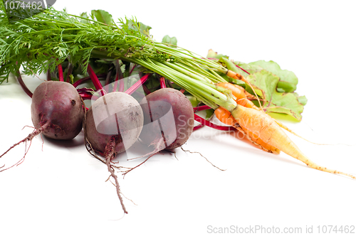 Image of Beet and carrot