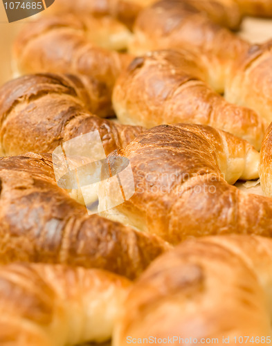 Image of Meal time - group of tasty crescent rolls