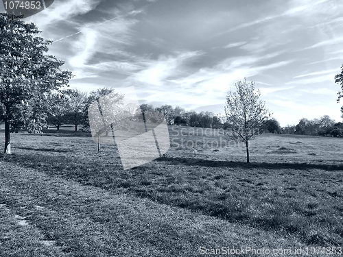 Image of Primrose Hill, London