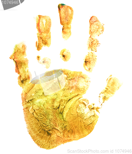 Image of Yellow print baby palm