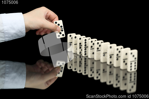 Image of Domino bone in hand