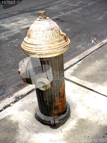 Image of fire hydrant nyc