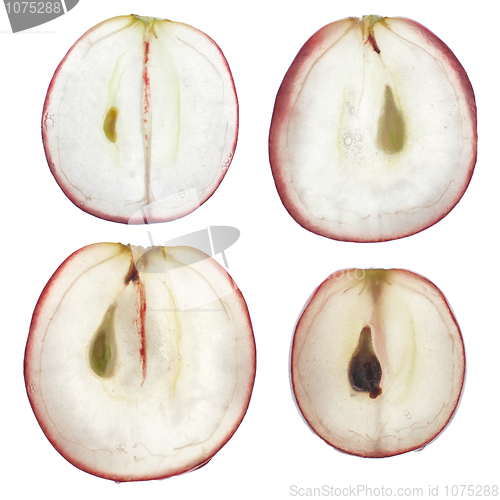 Image of Translucent slice of red grape