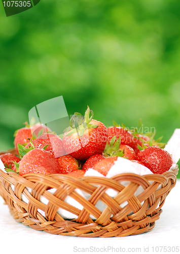 Image of fresh strawberry 