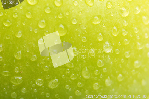 Image of fresh green apple