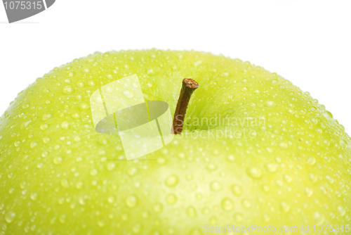 Image of fresh green apple 