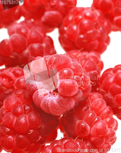Image of raspberries