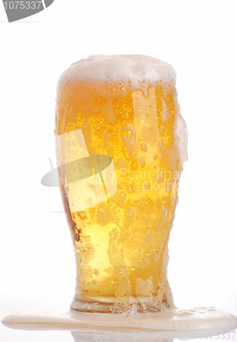 Image of Glass of beer close-up 