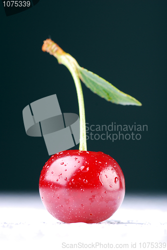 Image of A single cherrie