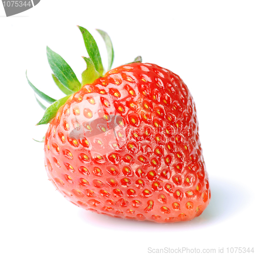 Image of fresh strawberry 