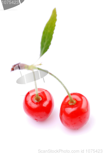 Image of Two cherries 