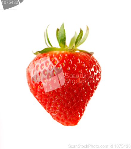 Image of fresh strawberry 