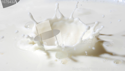 Image of milk splash