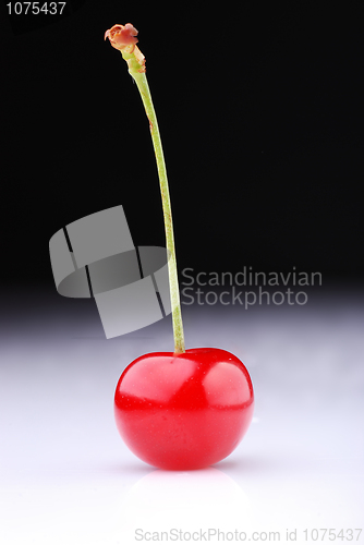 Image of Two cherries