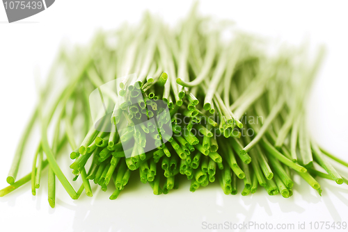 Image of A bunch of fresh chives