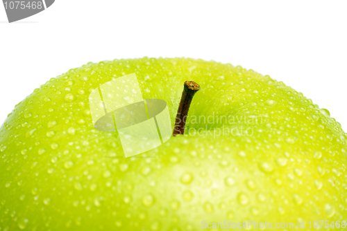 Image of Green apple 