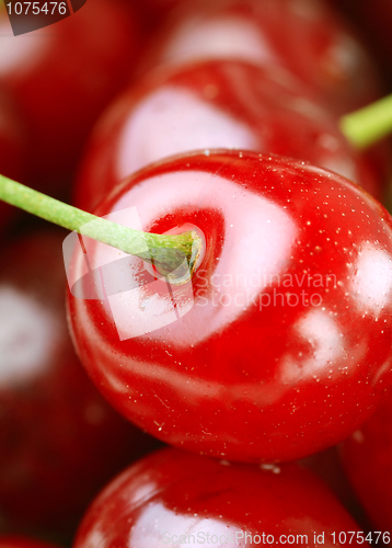 Image of bunch of fresh cherries