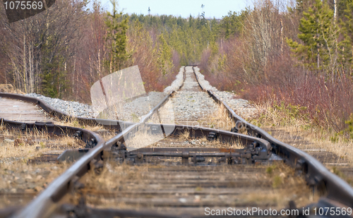 Image of Old rusty tracks leaving afar to horizon