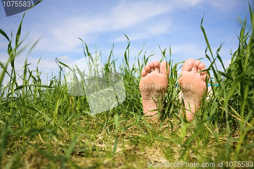 Image of Bare feet in a grass