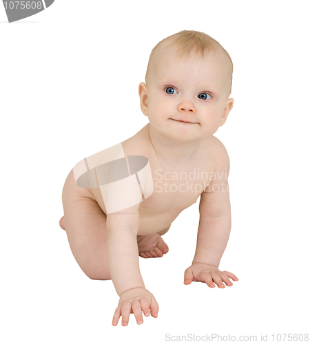 Image of Infant crawl on a white background