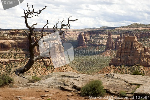 Image of Canyon View