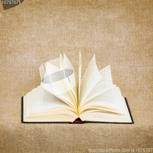 Image of Open old book on brown canvas background