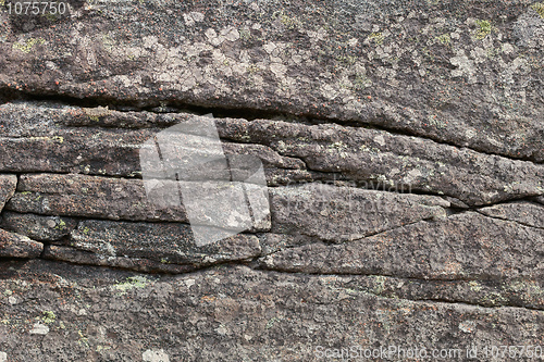 Image of surface of a granite rock covered with a lichen