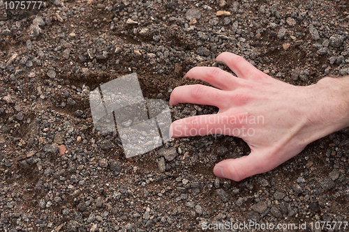 Image of Hand clinging to a stony ground