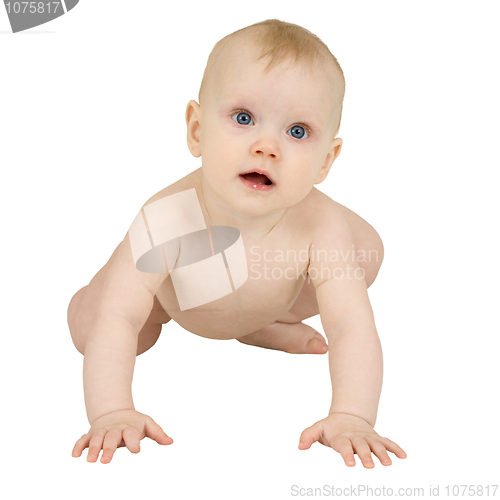 Image of Happy baby crawls on a white