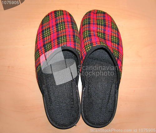 Image of Slipper