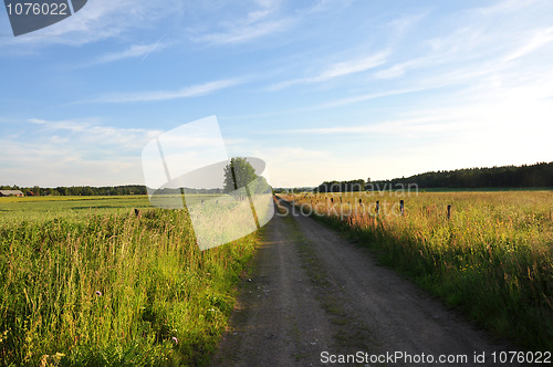 Image of Summer road