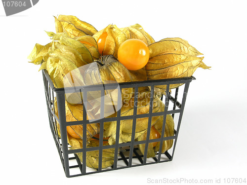 Image of physalis