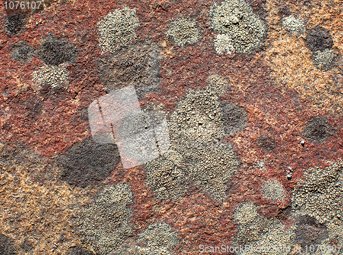 Image of Stone covered by a lichen background