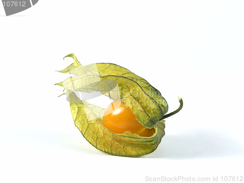 Image of physalis