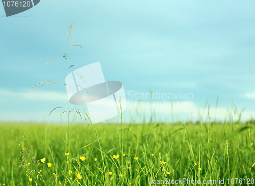 Image of Landscape with a grass in the foreground
