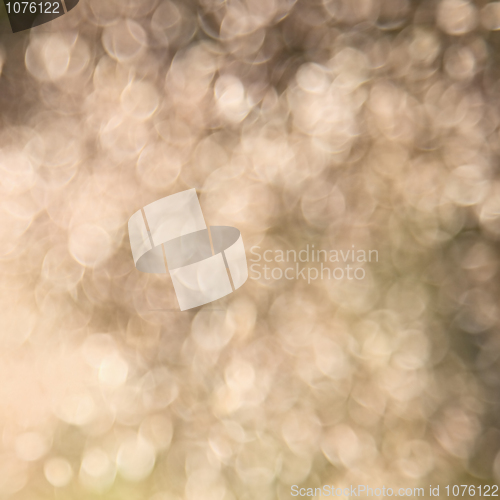 Image of Natural blurred abstract background