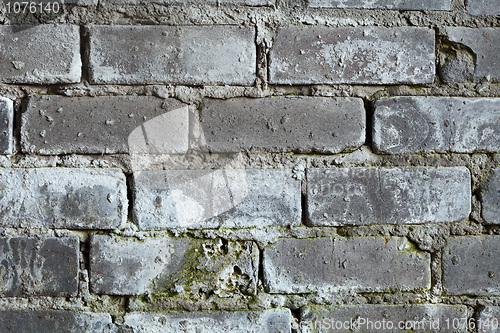 Image of Old brick grey wall with a mould texture