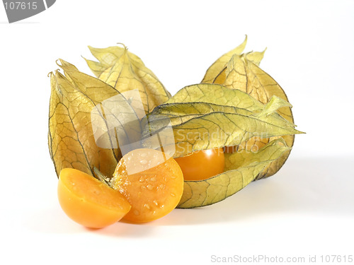 Image of physalis