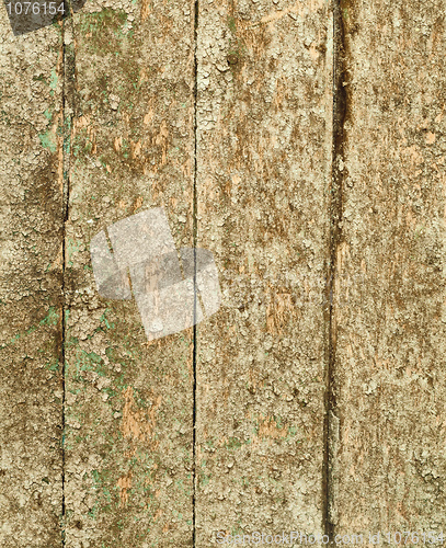 Image of Old board dirty grunge background